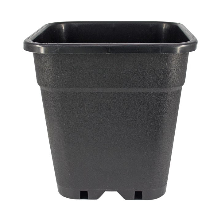 Square Pot