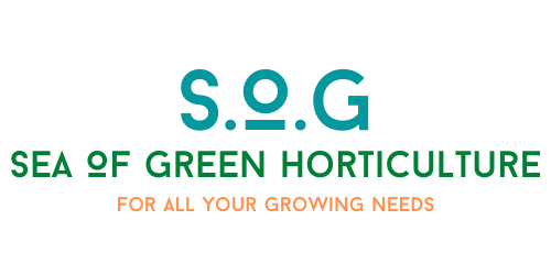 seaofgreenhorticulture