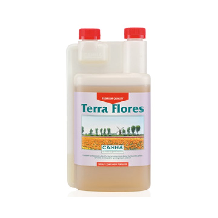 Canna Terra Flores